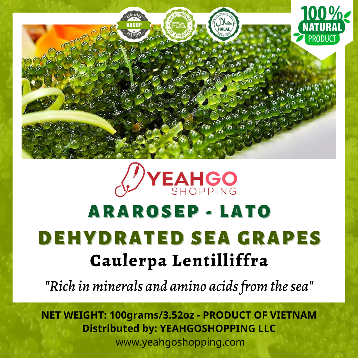 YEAHGOSHOPPING DRIED SEA GRAPES / DEHYDRATED CAULERPA LENTILLIFERA (100gram/ 3.52 Oz)