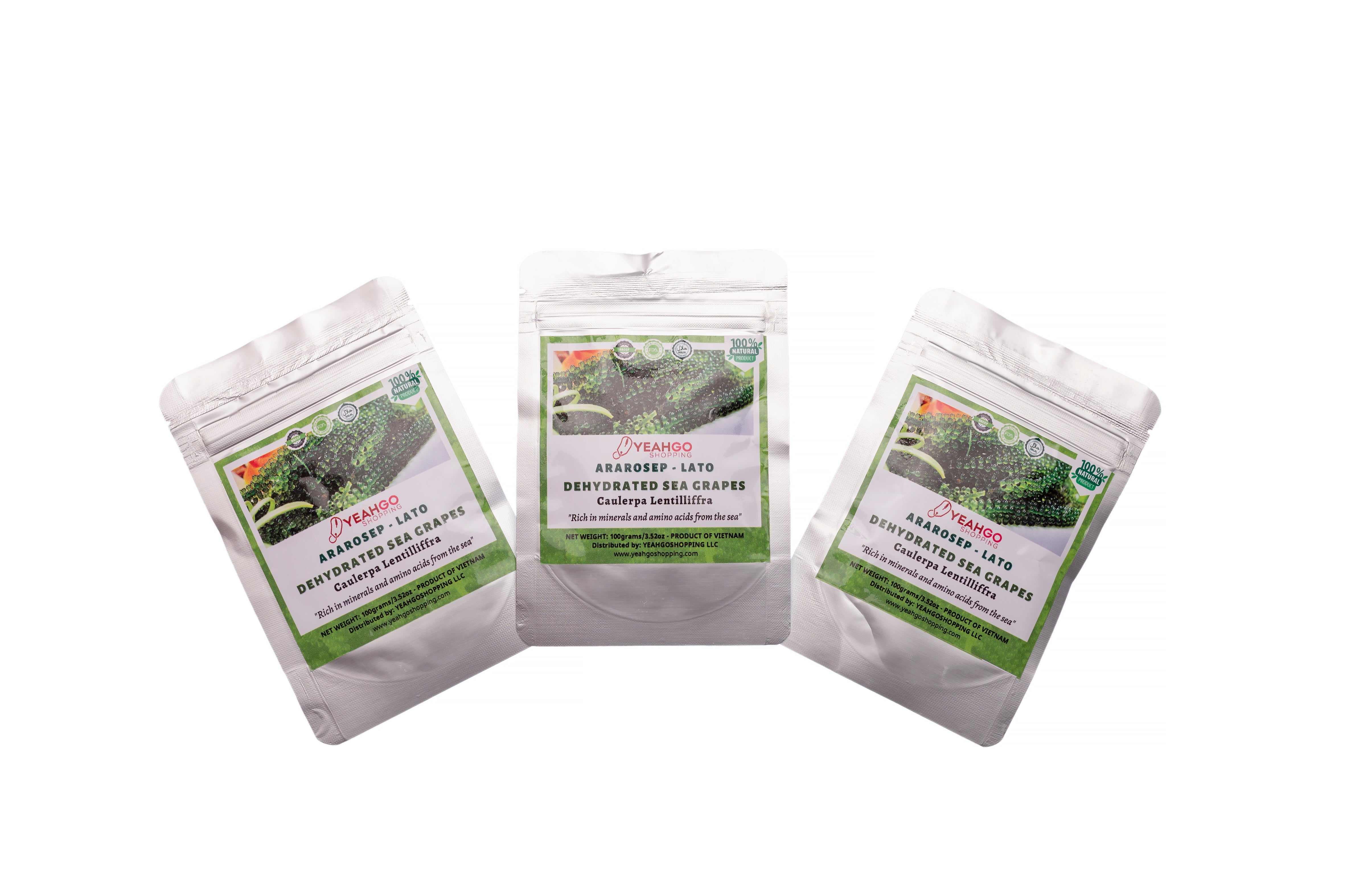 YEAHGOSHOPPING ORGANIC DRIED SEA GRAPES / SEAWEED / DEHYDRATED CAULERPA LENTILLIFERA 100% NATURAL (100gram/ 3.52 Oz)