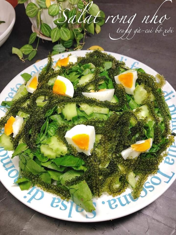 YEAHGOSHOPPING DRIED SEA GRAPES / DEHYDRATED CAULERPA LENTILLIFERA (100gram/ 3.52 Oz)