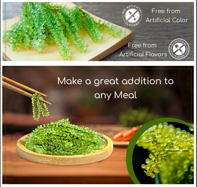 YEAHGOSHOPPING DRIED SEA GRAPES / DEHYDRATED CAULERPA LENTILLIFERA (100gram/ 3.52 Oz)