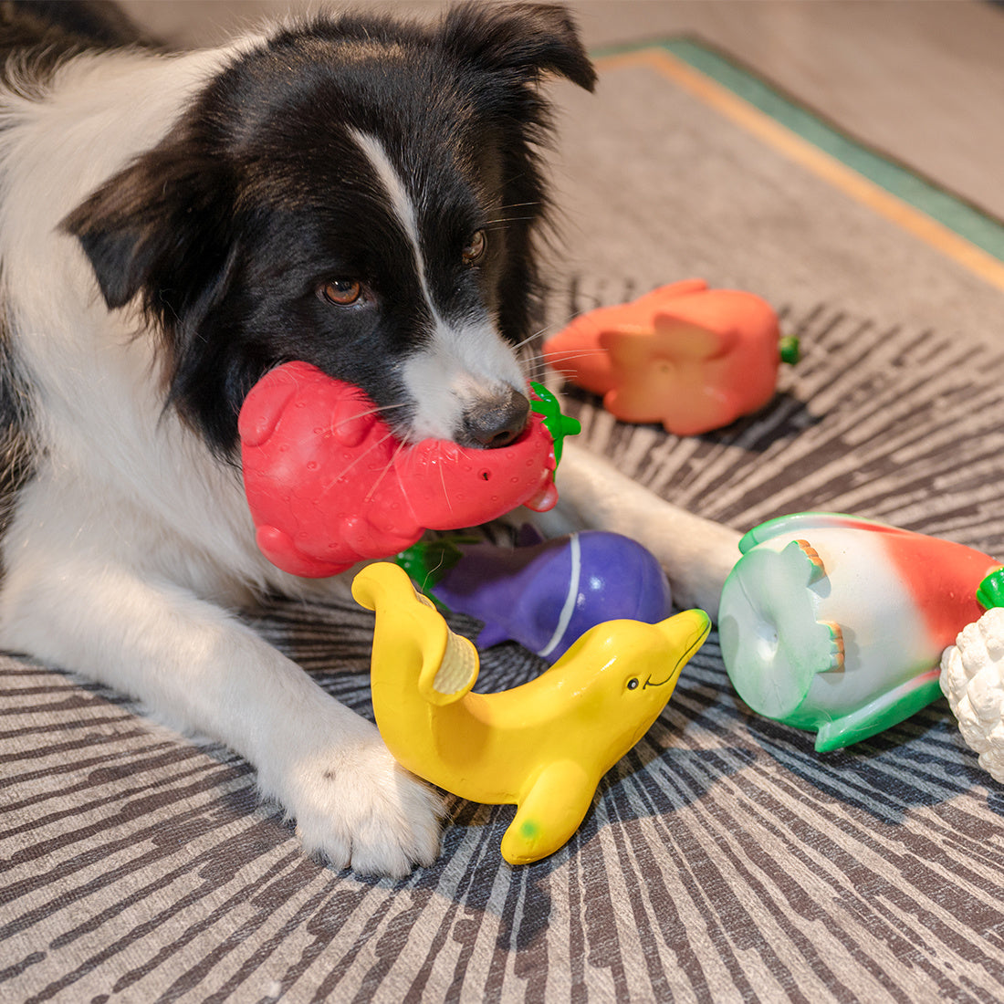 Squeak Latex Dog Toys Large, Medium and Small Dogs Indestructible Chewing Dog Toys Creative Modeling Dog Toys Pet Bites Resistant Toys