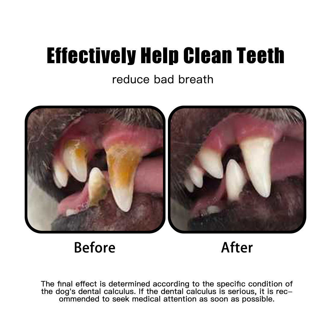 Squeak Latex Dog Toys Large, Medium and Small Dogs Indestructible Chewing Dog Toys Creative Modeling Dog Toys Pet Bites Resistant Toys