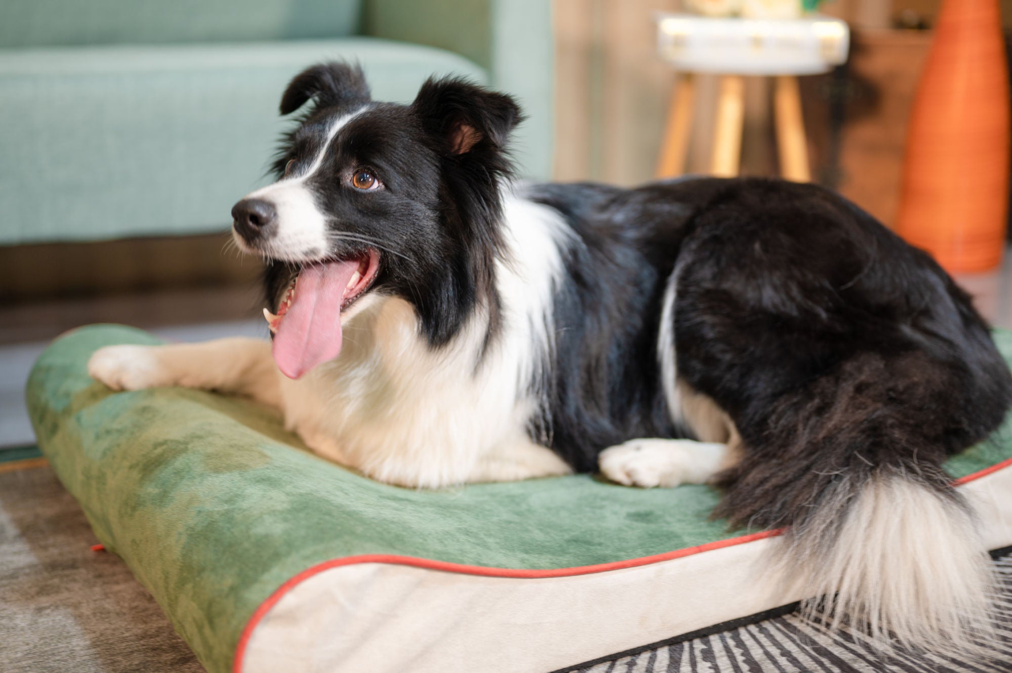 Orthopedic Foam Mattress Dog Bed Contour Bed with Removable Washable Cover and Waterproof Liner Nonskid Bottom - Friendly Design Ideal for Crate or Kennel