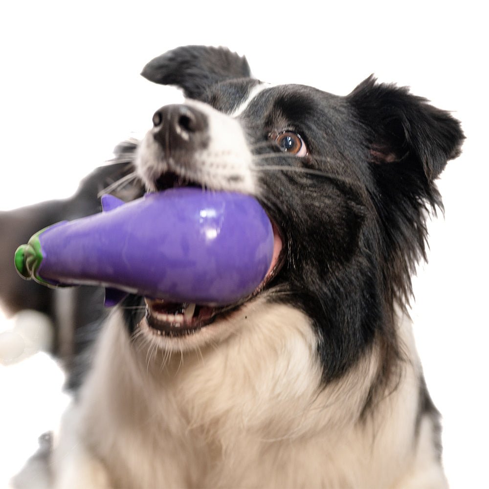 Squeak Latex Dog Toys Large, Medium and Small Dogs Indestructible Chewing Dog Toys Creative Modeling Dog Toys Pet Bites Resistant Toys