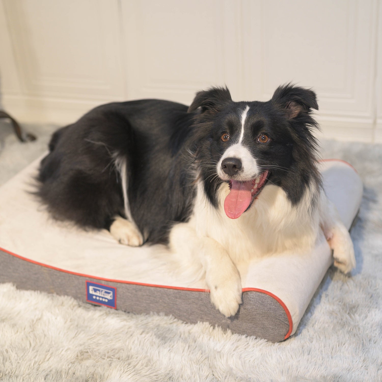 Orthopedic Foam Mattress Dog Bed Contour Bed with Removable Washable Cover and Waterproof Liner Nonskid Bottom - Friendly Design Ideal for Crate or Kennel