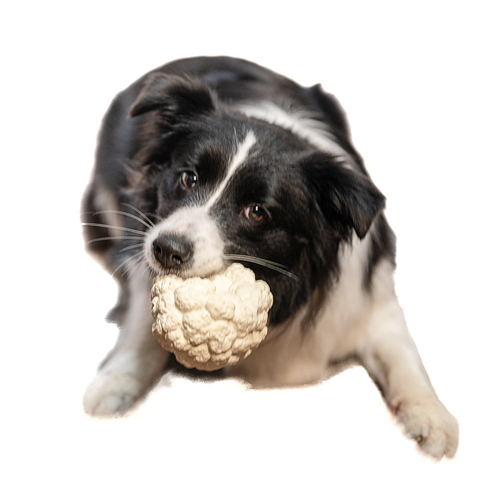 Squeak Latex Dog Toys Large, Medium and Small Dogs Indestructible Chewing Dog Toys Creative Modeling Dog Toys Pet Bites Resistant Toys