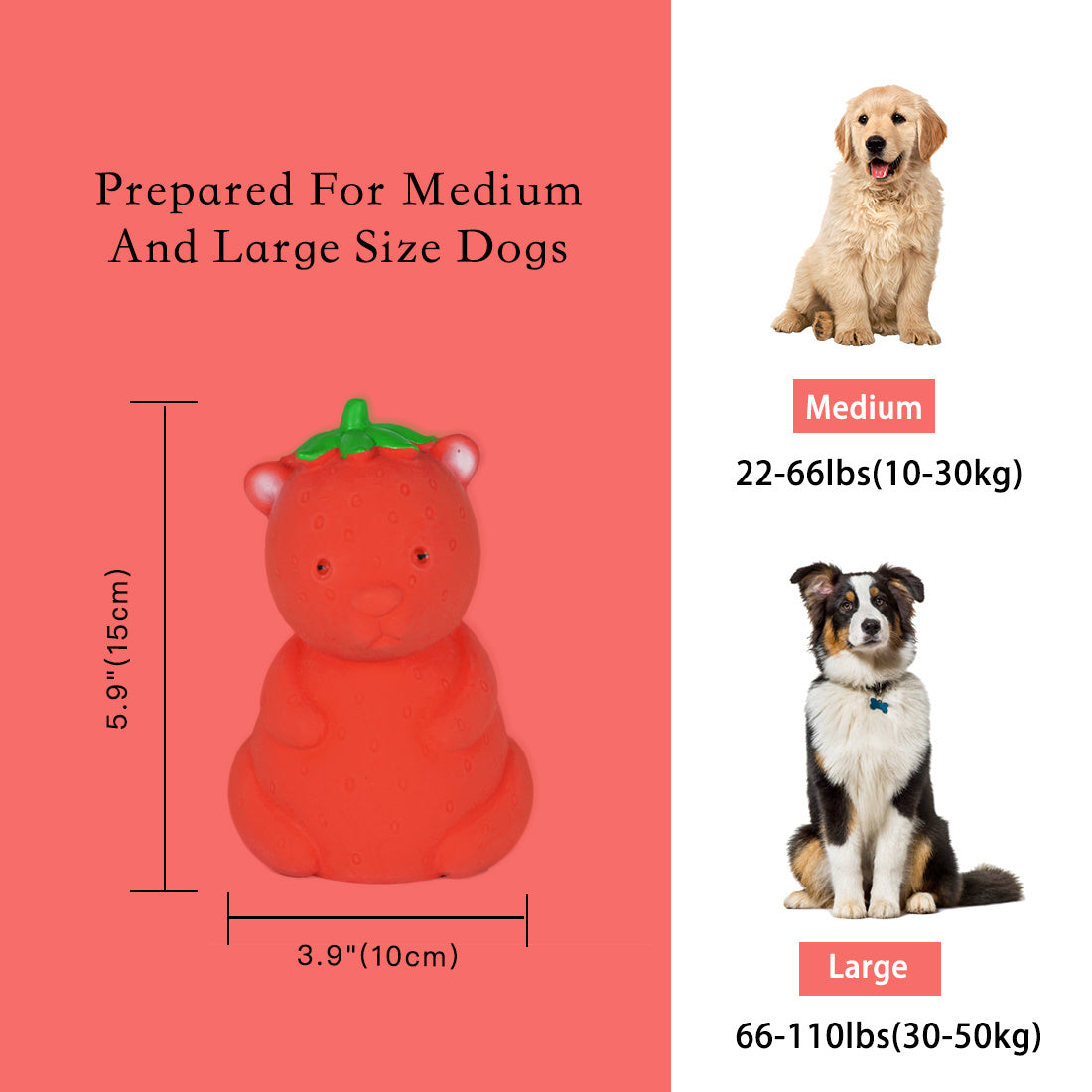 Squeak Latex Dog Toys Large, Medium and Small Dogs Indestructible Chewing Dog Toys Creative Modeling Dog Toys Pet Bites Resistant Toys