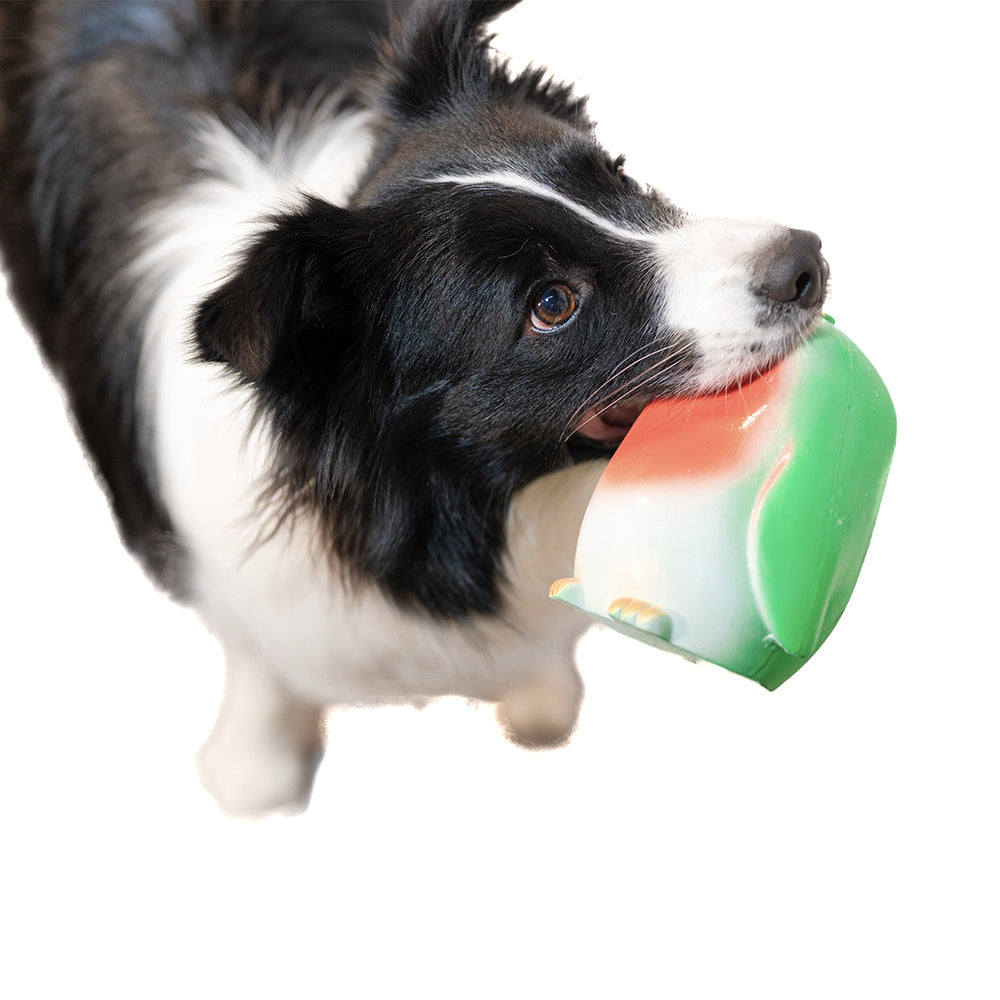 Squeak Latex Dog Toys Large, Medium and Small Dogs Indestructible Chewing Dog Toys Creative Modeling Dog Toys Pet Bites Resistant Toys