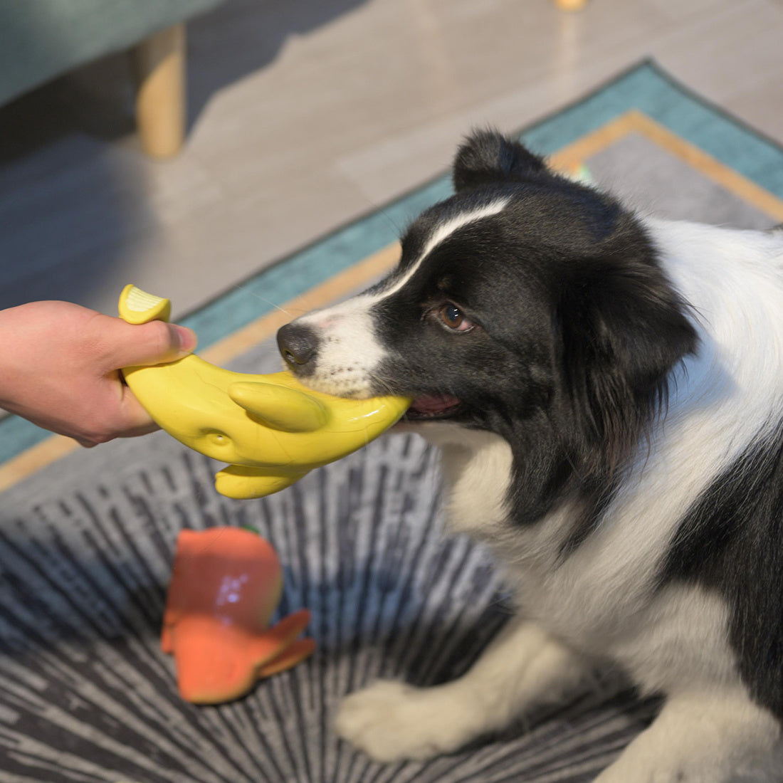 Squeak Latex Dog Toys Large, Medium and Small Dogs Indestructible Chewing Dog Toys Creative Modeling Dog Toys Pet Bites Resistant Toys