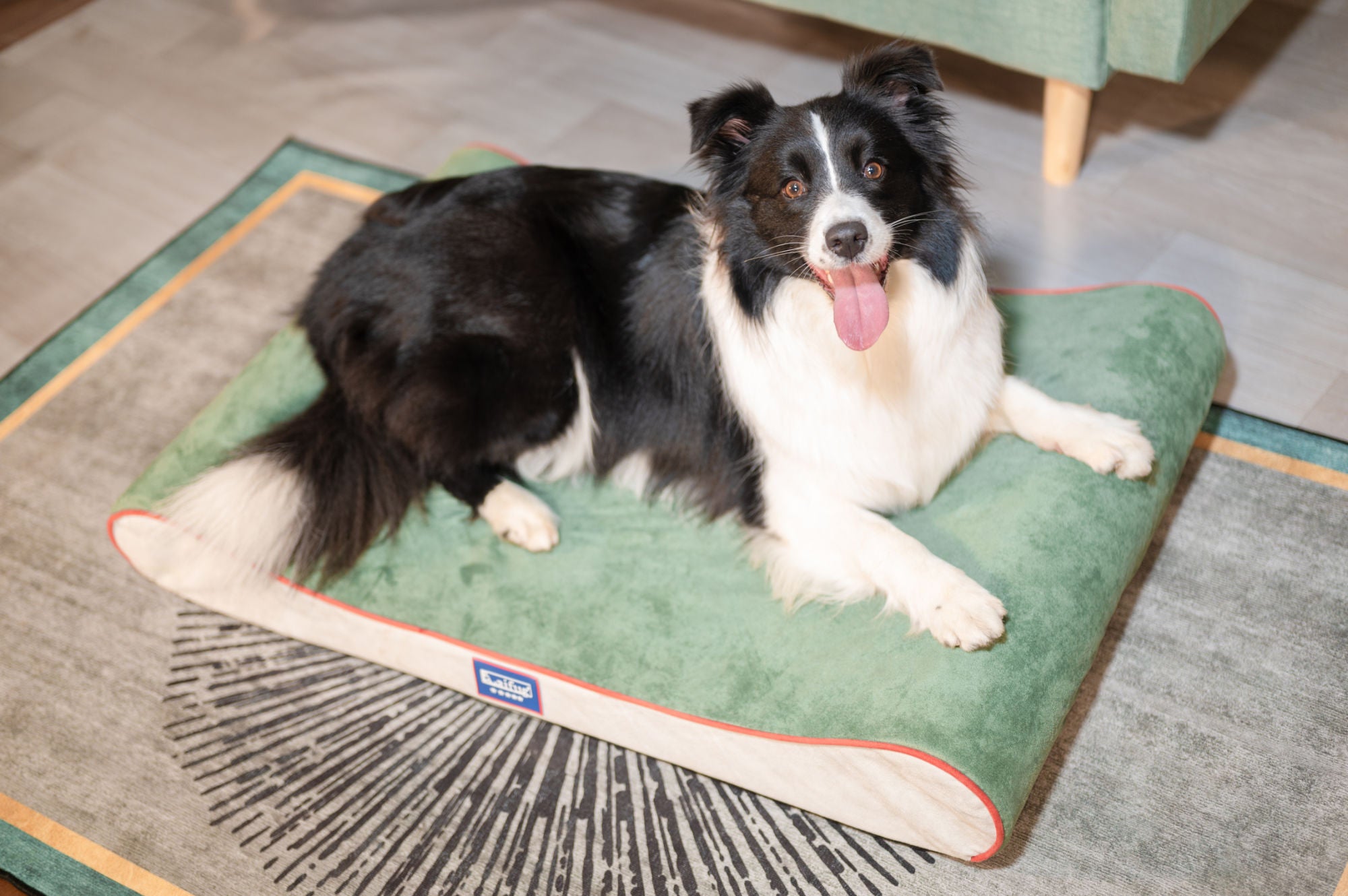 Orthopedic Foam Mattress Dog Bed Contour Bed with Removable Washable Cover and Waterproof Liner Nonskid Bottom - Friendly Design Ideal for Crate or Kennel