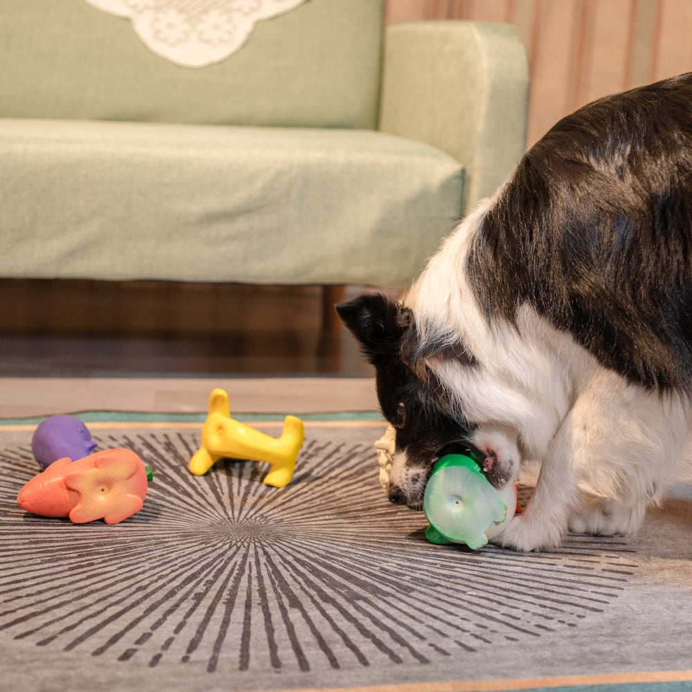 Squeak Latex Dog Toys Large, Medium and Small Dogs Indestructible Chewing Dog Toys Creative Modeling Dog Toys Pet Bites Resistant Toys