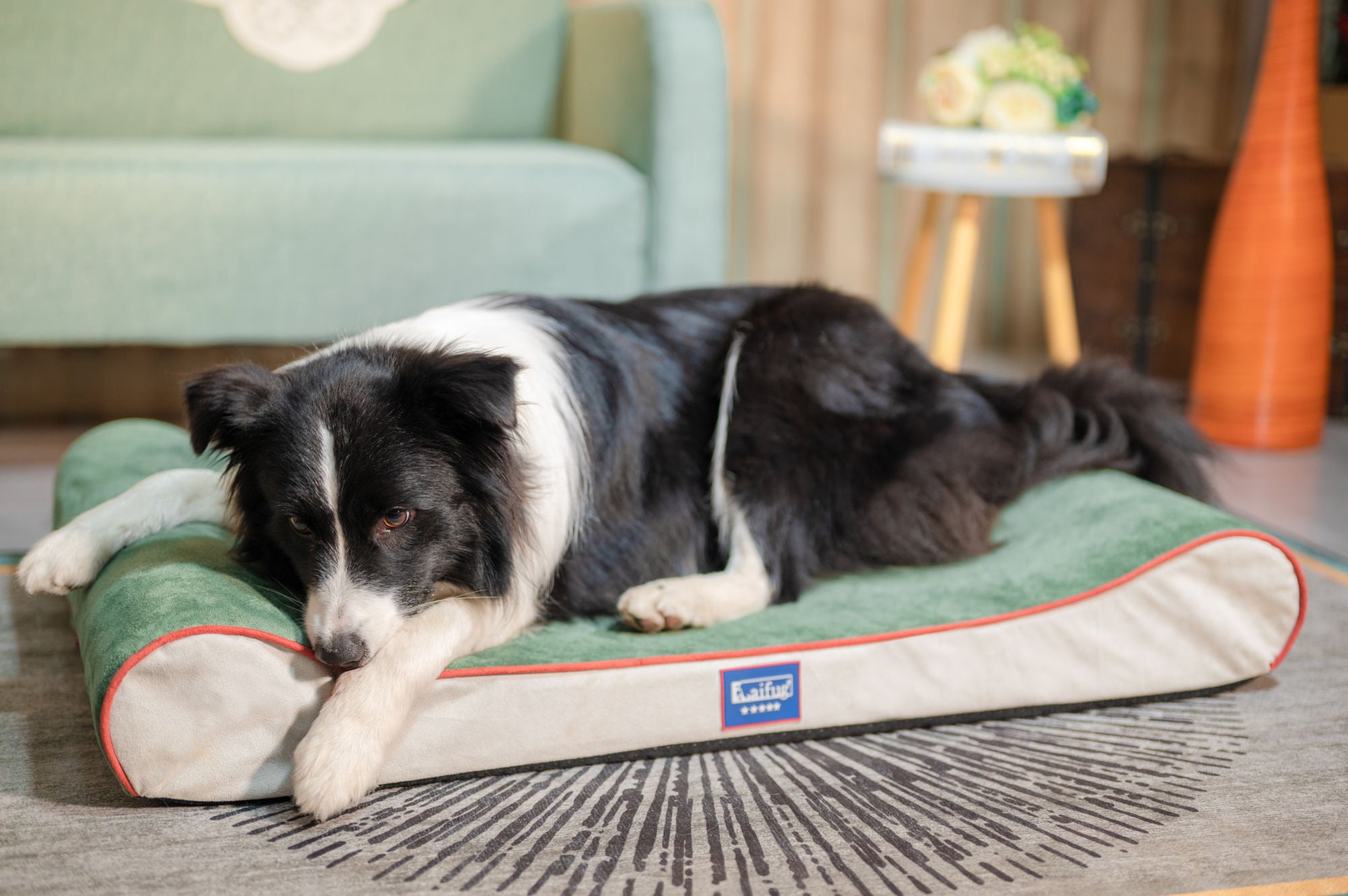 Orthopedic Foam Mattress Dog Bed Contour Bed with Removable Washable Cover and Waterproof Liner Nonskid Bottom - Friendly Design Ideal for Crate or Kennel