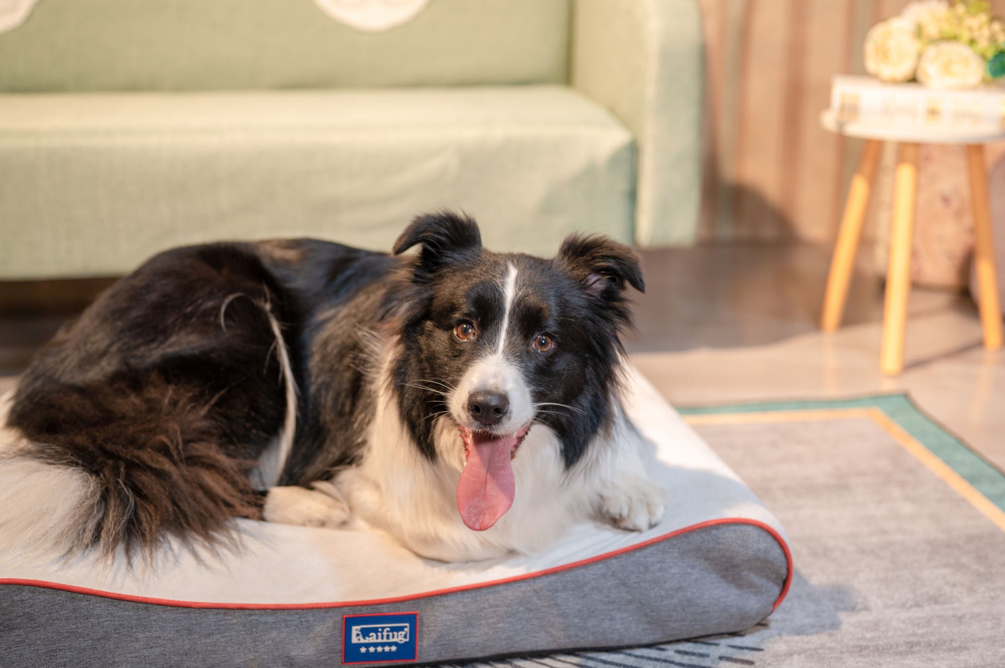 Orthopedic Foam Mattress Dog Bed Contour Bed with Removable Washable Cover and Waterproof Liner Nonskid Bottom - Friendly Design Ideal for Crate or Kennel