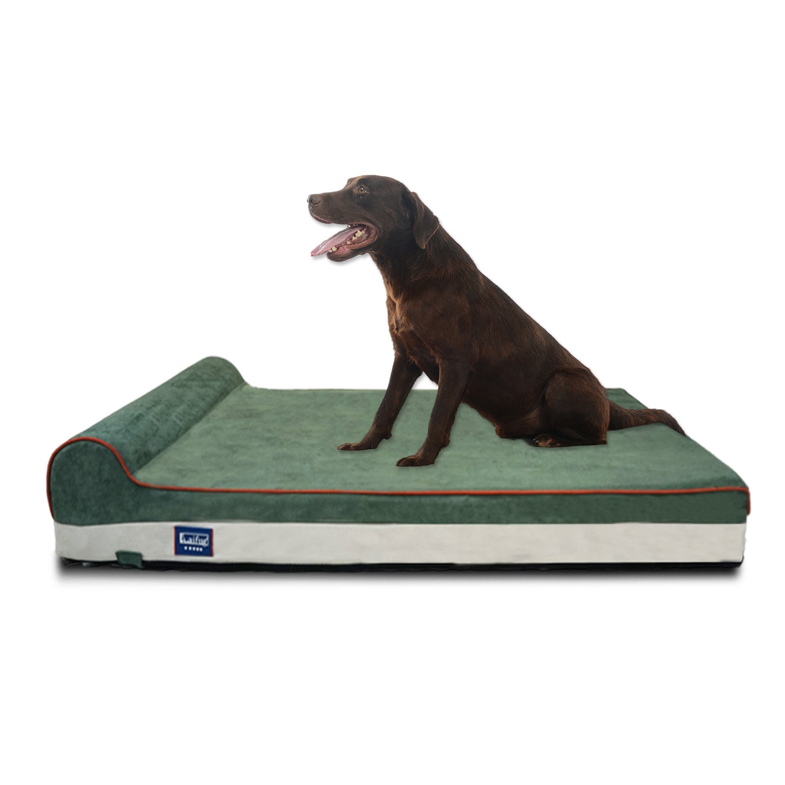 Orthopedic Memory Foam Dog Bed with Pillow and Durable Water Proof Liner & Removable Washable Cover & Smart Design, Extra Large