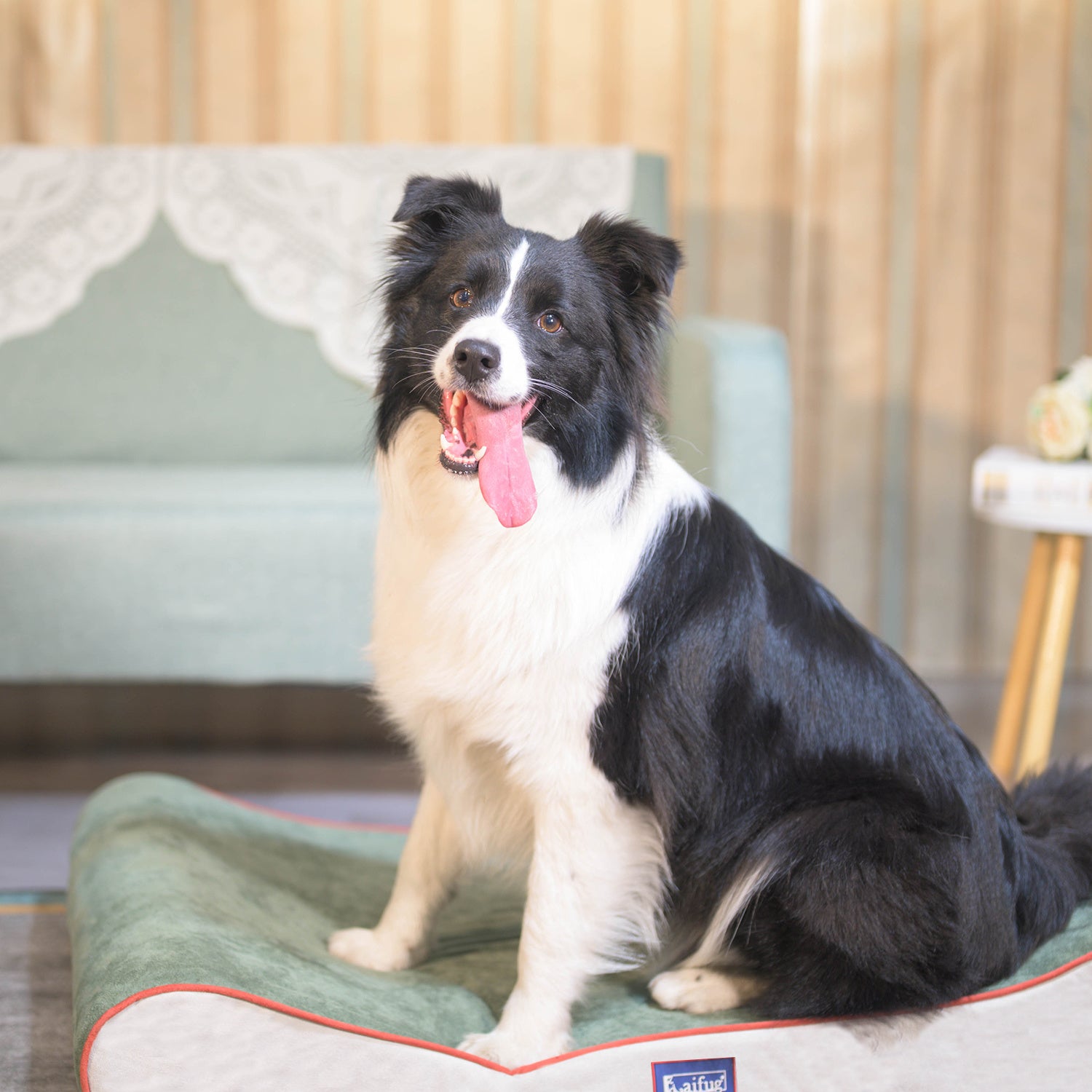 Orthopedic Foam Mattress Dog Bed Contour Bed with Removable Washable Cover and Waterproof Liner Nonskid Bottom - Friendly Design Ideal for Crate or Kennel