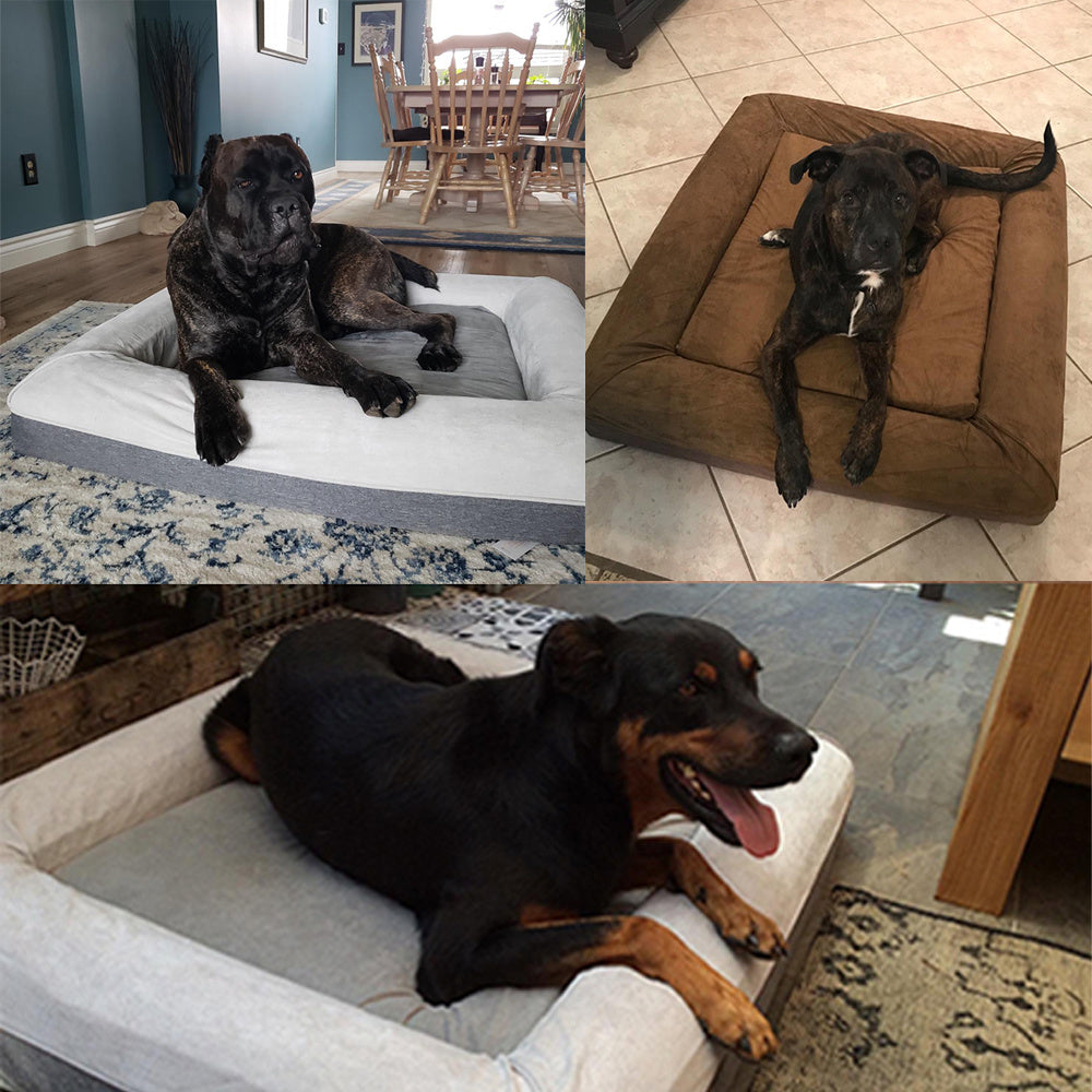 Orthopedic Memory Foam Dog Bed Dog Couch with Durable Water Proof Liner and Removable Washable Cover, Large