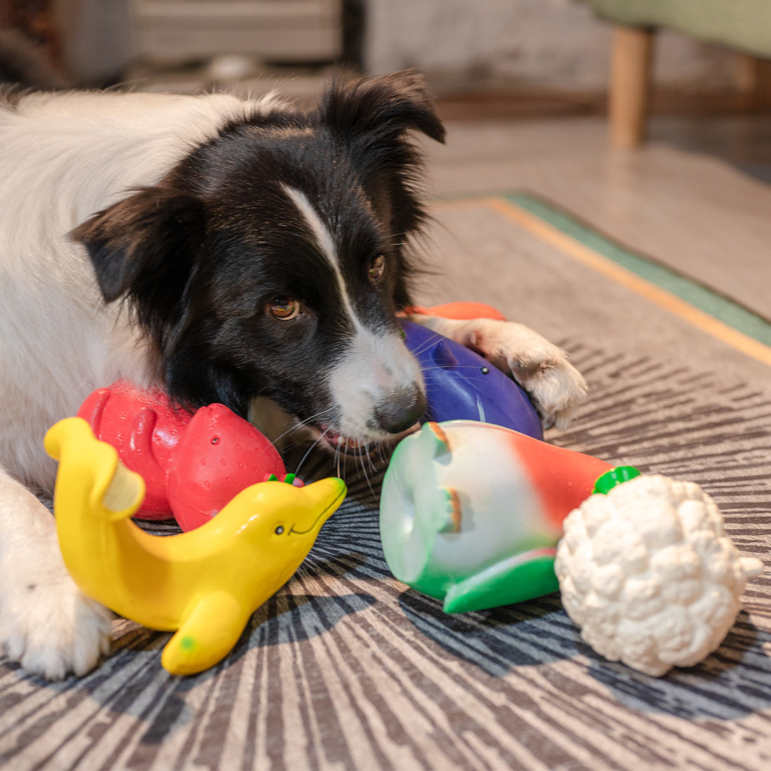 Squeak Latex Dog Toys Large, Medium and Small Dogs Indestructible Chewing Dog Toys Creative Modeling Dog Toys Pet Bites Resistant Toys