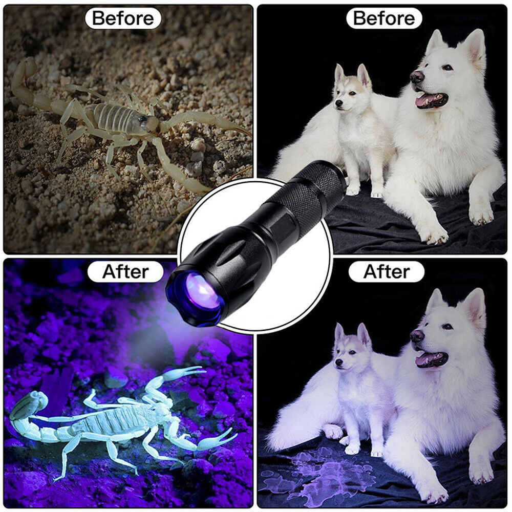 Free shipping 3 Modes Torch UV Ultra Violet LED Flashlight waterproof Blacklight 365nm Inspection Lamp US