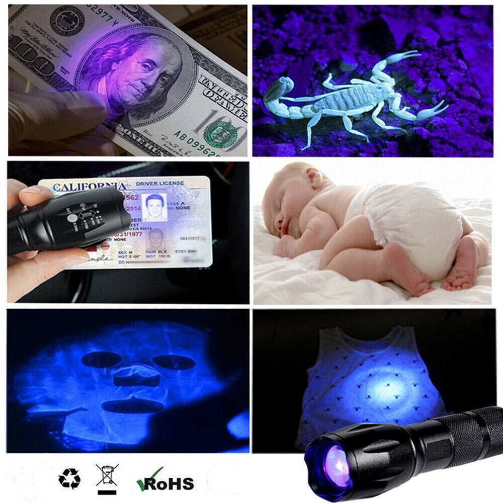 Free shipping 3 Modes Torch UV Ultra Violet LED Flashlight waterproof Blacklight 365nm Inspection Lamp US