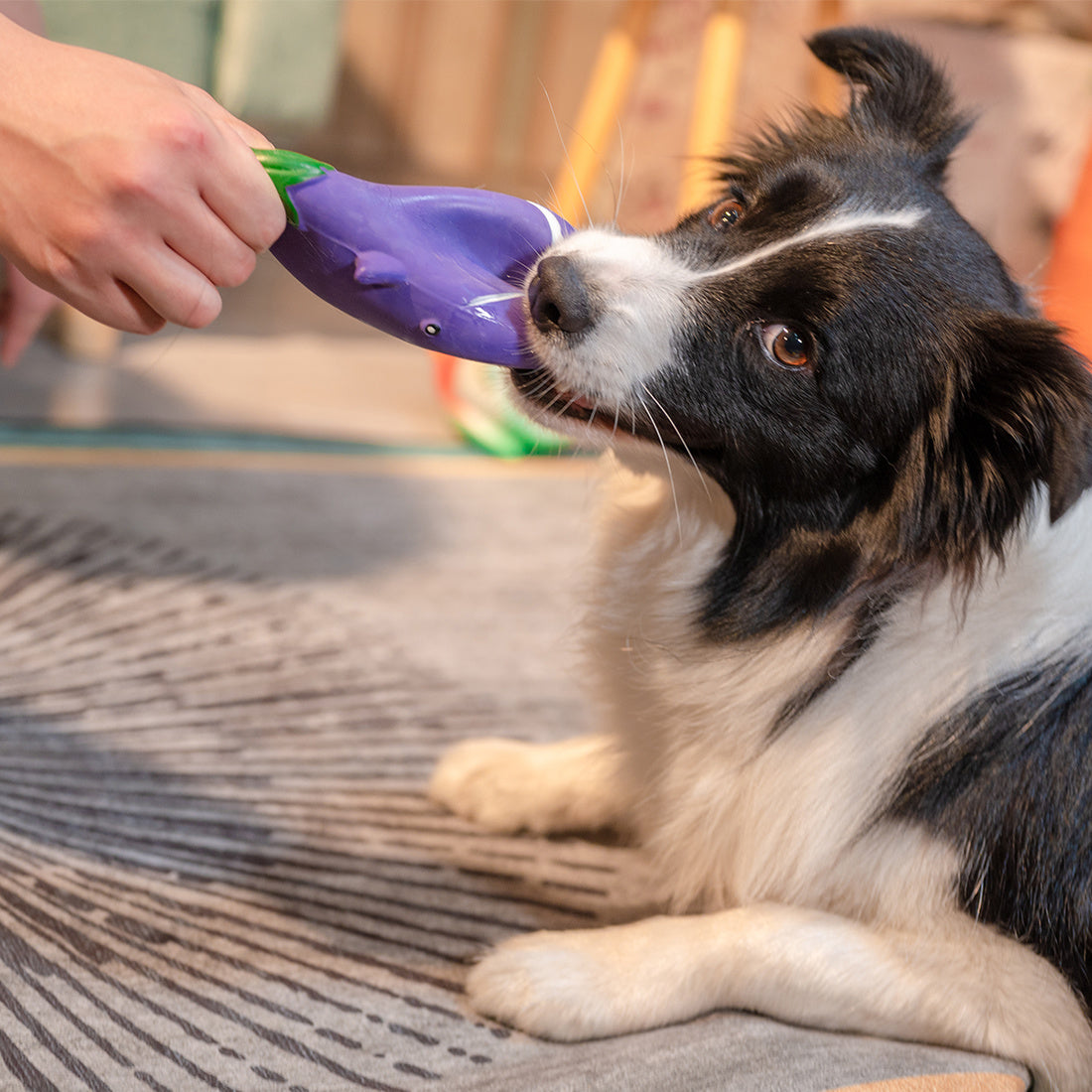 Squeak Latex Dog Toys Large, Medium and Small Dogs Indestructible Chewing Dog Toys Creative Modeling Dog Toys Pet Bites Resistant Toys