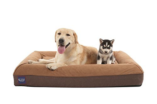 Orthopedic Memory Foam Dog Bed Dog Couch with Durable Water Proof Liner and Removable Washable Cover, Large