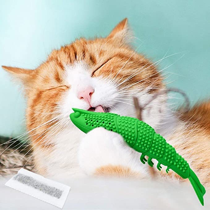 New Upgrade Models Pet Shrimp Shape Cat Toothbrush with Catnip Chewing Toy, Eco-Friendly Silicone Molar Stick for Pet Cat, Toys With Cleaning Toothbrush for Cats