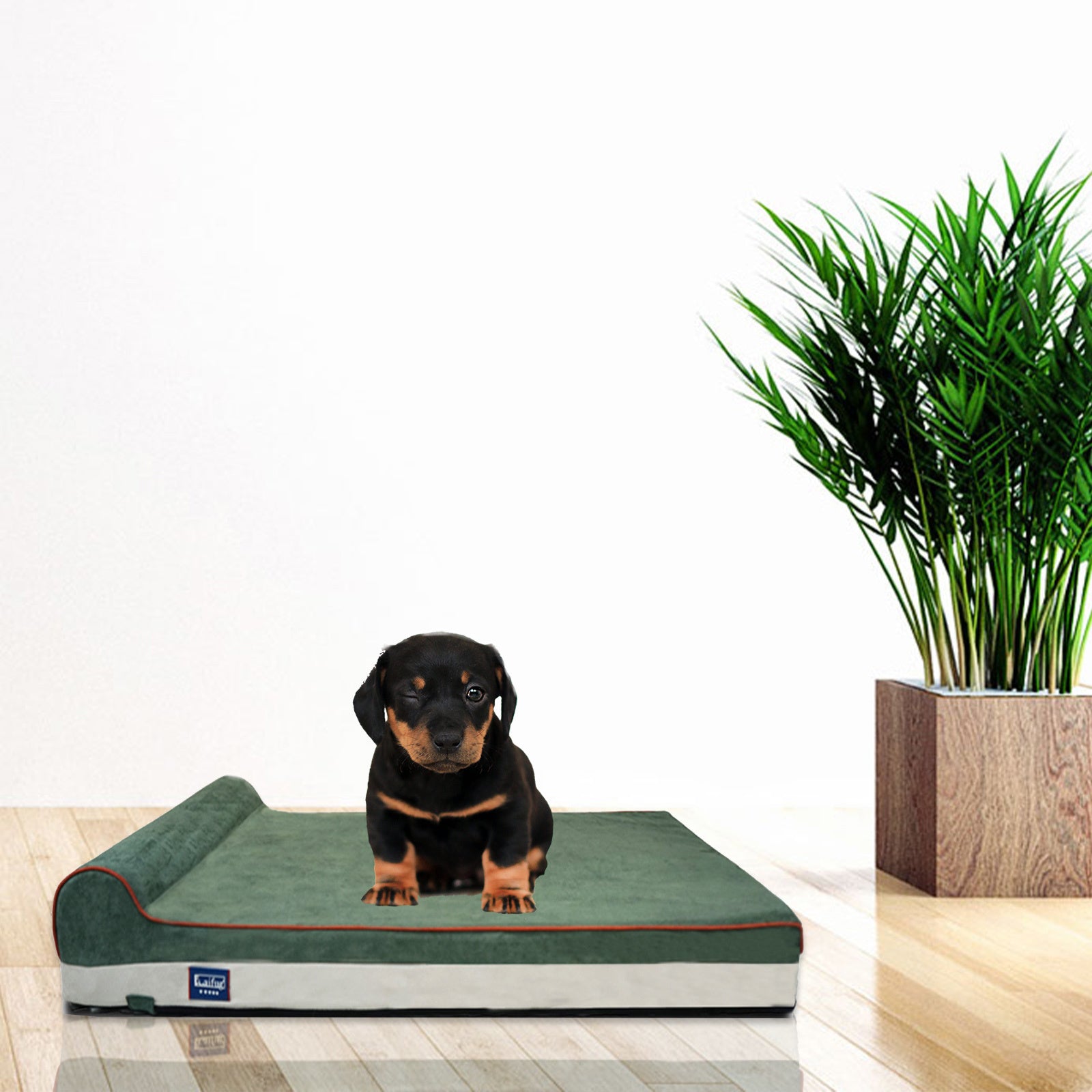 Orthopedic Memory Foam Dog Bed with Pillow and Durable Water Proof Liner & Removable Washable Cover & Smart Design, Extra Large