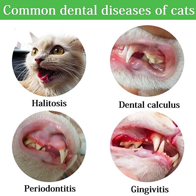 New Upgrade Models Pet Shrimp Shape Cat Toothbrush with Catnip Chewing Toy, Eco-Friendly Silicone Molar Stick for Pet Cat, Toys With Cleaning Toothbrush for Cats