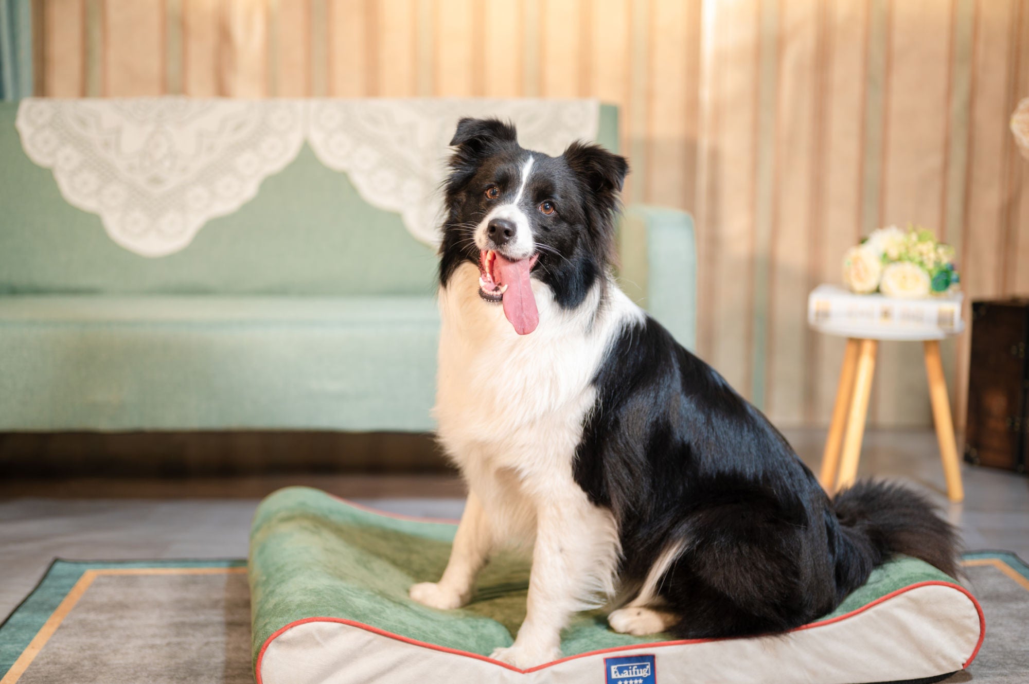 Orthopedic Foam Mattress Dog Bed Contour Bed with Removable Washable Cover and Waterproof Liner Nonskid Bottom - Friendly Design Ideal for Crate or Kennel