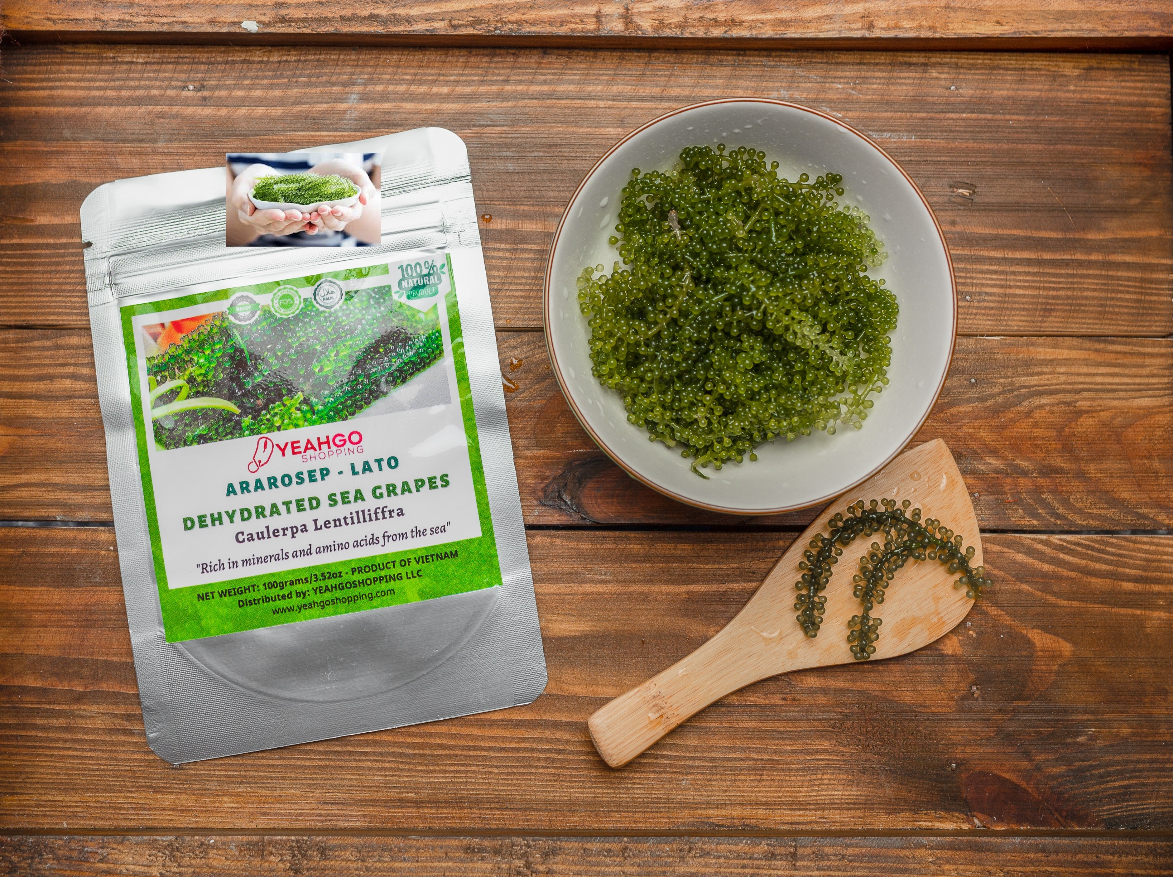 YEAHGOSHOPPING ORGANIC DRIED SEA GRAPES / SEAWEED / DEHYDRATED CAULERPA LENTILLIFERA 100% NATURAL (100gram/ 3.52 Oz)