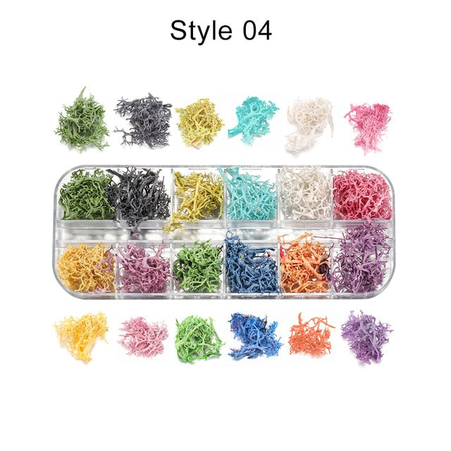 1Box Dried Flower Dry Plants For Epoxy UV Resin Pendant Necklace Jewelry Making Craft DIY Nail Art Decoration Supply Accessories