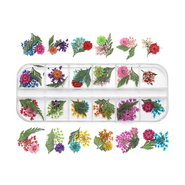 1Box Dried Flower Dry Plants For Epoxy UV Resin Pendant Necklace Jewelry Making Craft DIY Nail Art Decoration Supply Accessories