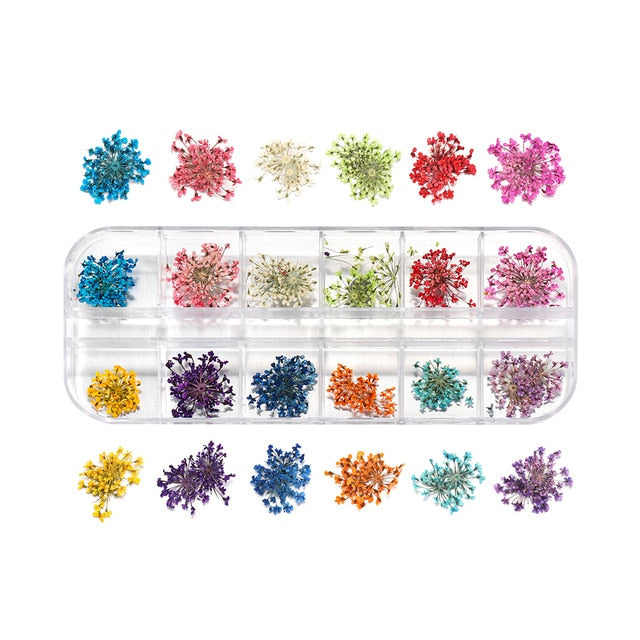 1Box Dried Flower Dry Plants For Epoxy UV Resin Pendant Necklace Jewelry Making Craft DIY Nail Art Decoration Supply Accessories