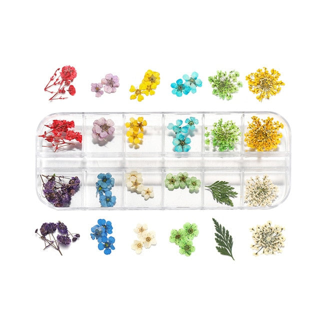 1Box Dried Flower Dry Plants For Epoxy UV Resin Pendant Necklace Jewelry Making Craft DIY Nail Art Decoration Supply Accessories