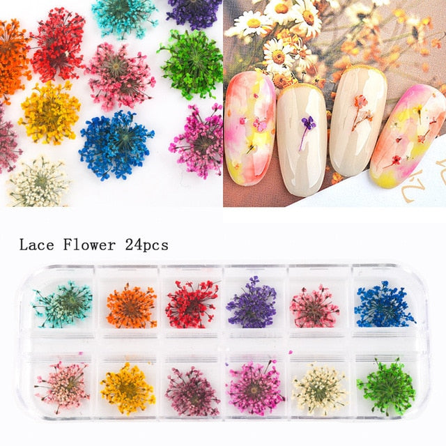 24/36/48/60PCS Natural Dried Flowers Nail Art for Women Girl DIY Nail Designs 3D Japanese Nail Art Decorations Nail Supplies