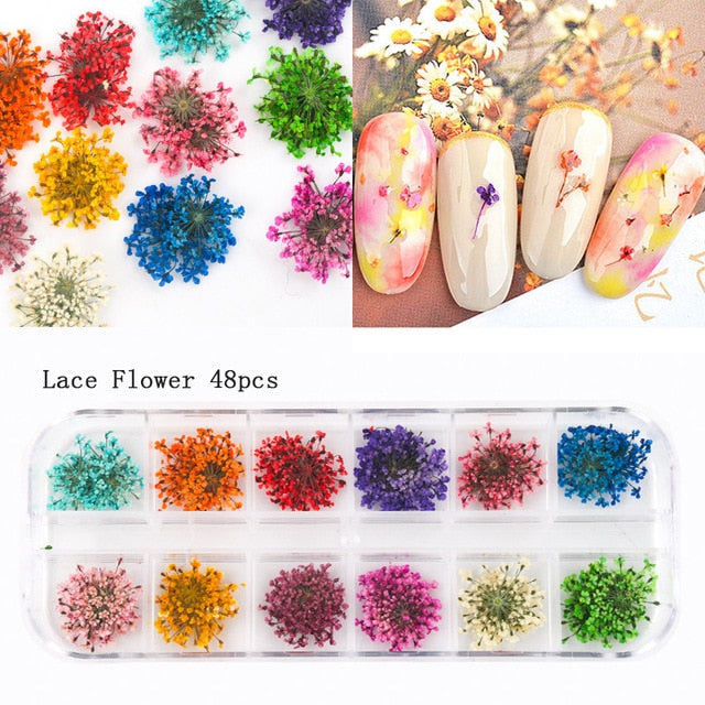 24/36/48/60PCS Natural Dried Flowers Nail Art for Women Girl DIY Nail Designs 3D Japanese Nail Art Decorations Nail Supplies