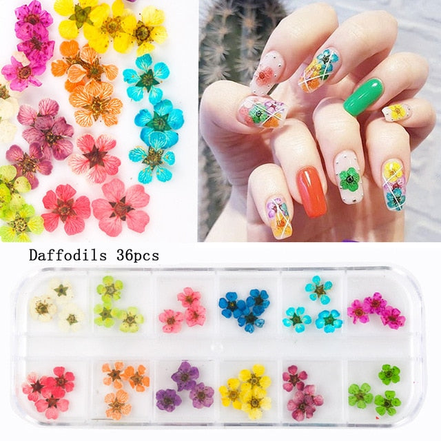 24/36/48/60PCS Natural Dried Flowers Nail Art for Women Girl DIY Nail Designs 3D Japanese Nail Art Decorations Nail Supplies