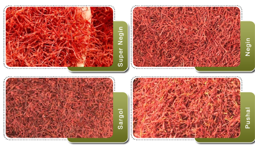 Premium Quality Sargol Saffron Grade A+ 100% Natural Red Authentic, Pure - 5 gram