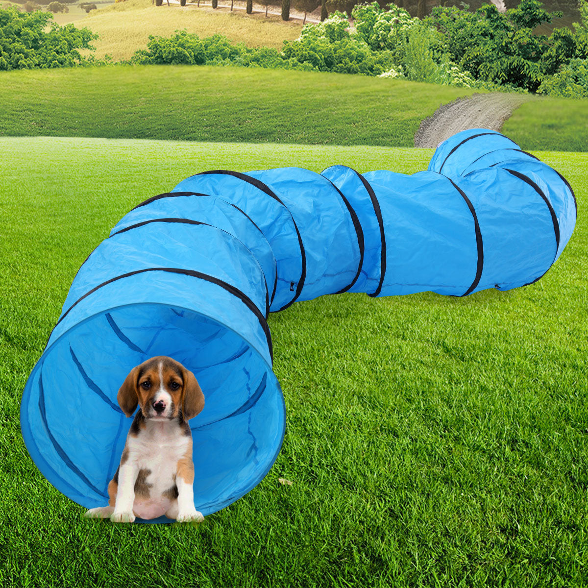 Collapsible Extra-long Pet Dog Agility Training Tunnel with Carry Bag and Stakes, Blue