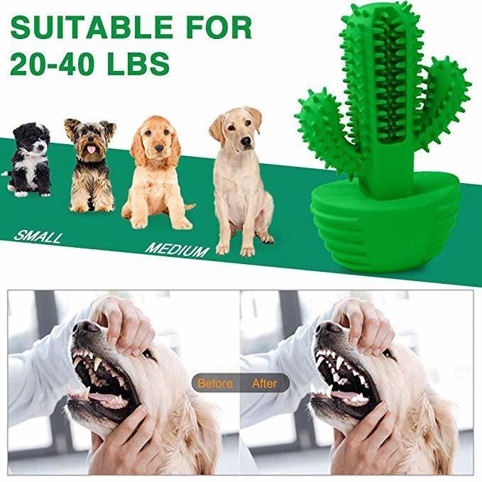 Dog Chew Toothbrush Teeth Cleaning Toys Puppy Brushing Stick Dental Oral Care for Pet