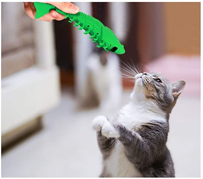 New Upgrade Models Pet Shrimp Shape Cat Toothbrush with Catnip Chewing Toy, Eco-Friendly Silicone Molar Stick for Pet Cat, Toys With Cleaning Toothbrush for Cats