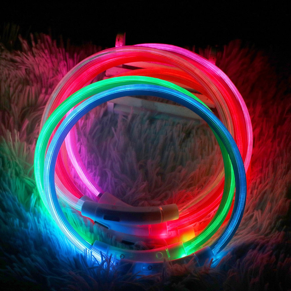 Led Usb Dog Collar  Pet Dog Collar  Night Dog Collars Glowing Luminous Rechargeable LED  Night Safety Flashing Glow