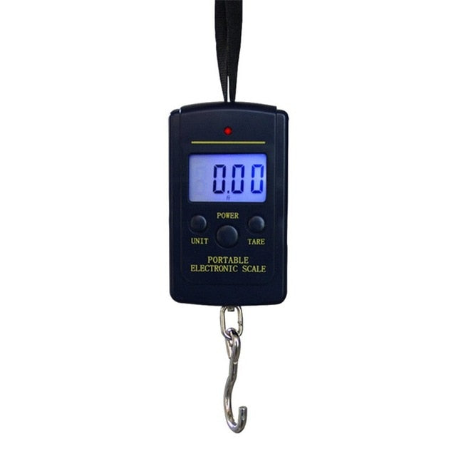 40kg x 10g Mini Digital Scale for Fishing Luggage Travel Weighting Steelyard Hanging Electronic Hook Scale, Kitchen Weight Tool