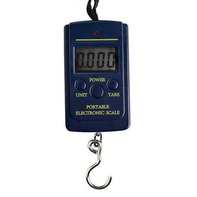 40kg x 10g Mini Digital Scale for Fishing Luggage Travel Weighting Steelyard Hanging Electronic Hook Scale, Kitchen Weight Tool