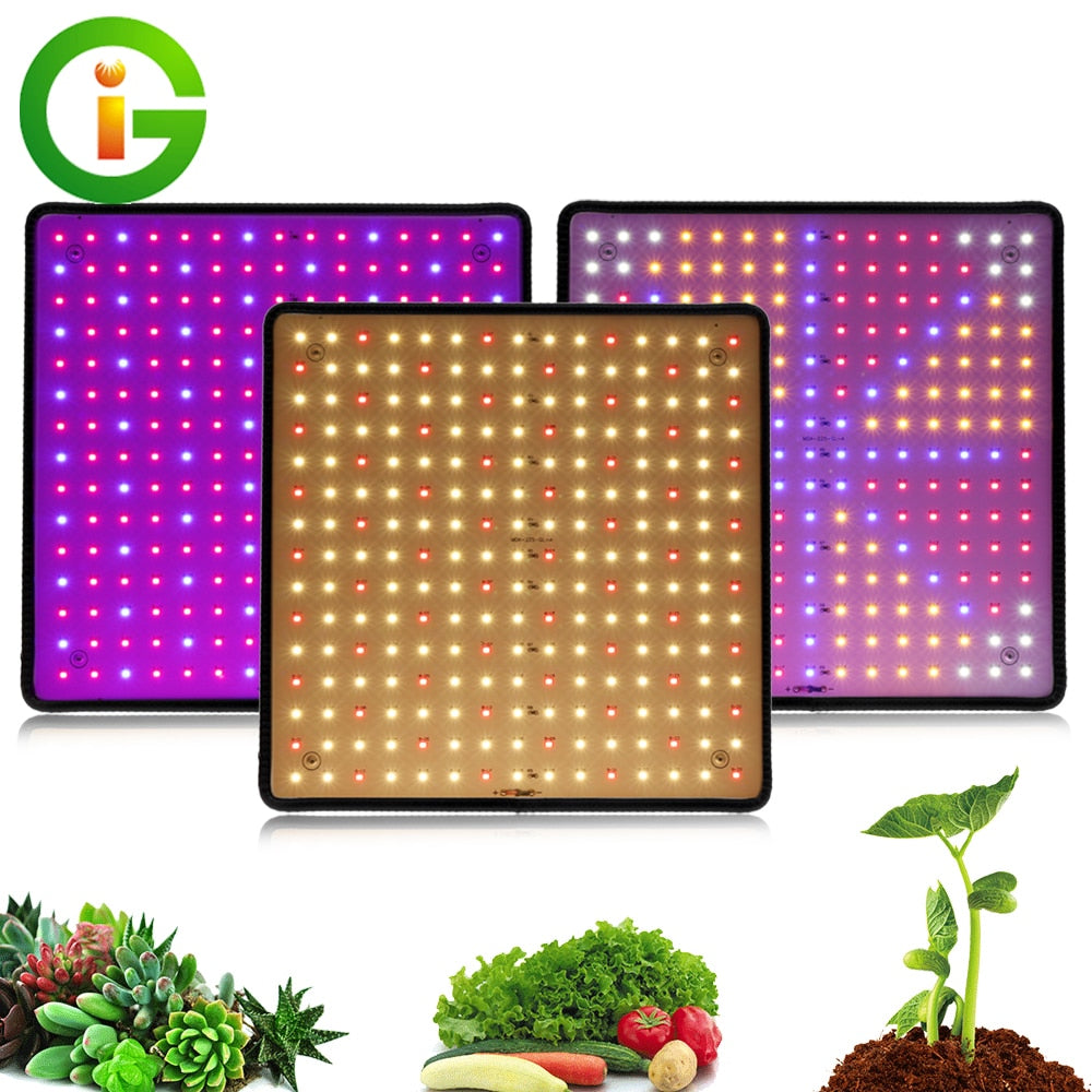 1000W LED Grow Light Panel Full Spectrum Phyto Lamp AC85-240V EU/US Plug For Indoor Grow Tent Plants Growth Light