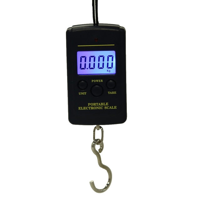 40kg x 10g Mini Digital Scale for Fishing Luggage Travel Weighting Steelyard Hanging Electronic Hook Scale, Kitchen Weight Tool
