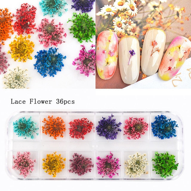 24/36/48/60PCS Natural Dried Flowers Nail Art for Women Girl DIY Nail Designs 3D Japanese Nail Art Decorations Nail Supplies