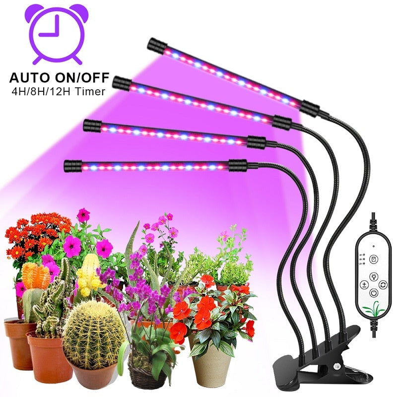 Goodland LED Grow Light USB Phyto Lamp Full Spectrum Fitolamp With Control Phytolamp For Plants Seedlings Flower Home Phytotape
