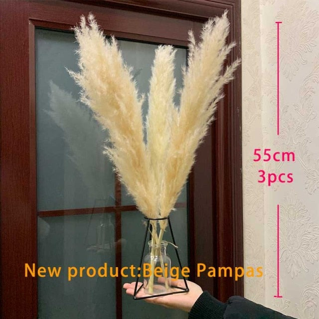 Dried Pampas Grass Decor Fluffy Tall 20-22'' Wedding Flowers Arrangement Natural Bouquet For Home Christmas Decorations Vase