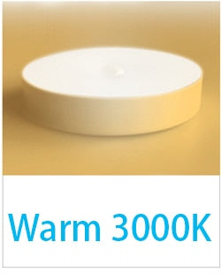 700mah USB Recharge LED PIR Infrared Sensor Night Light 8 Light Bead Cabinet Closet Wall Lamp for Home Bedroom Corridor